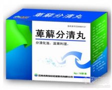 中成药大全