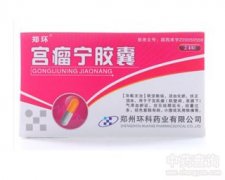 宫瘤宁胶囊