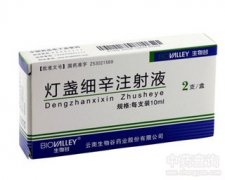 灯盏细辛注射液