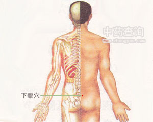 下髎