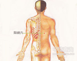 阳纲